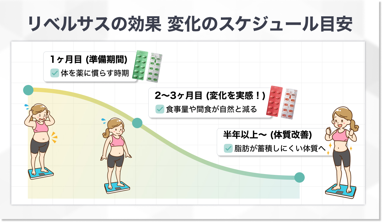 リベルサスの効果はいつから実感できる?期間の目安