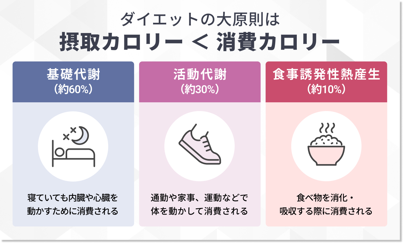 ダイエットの基本｜摂取カロリーと消費カロリーの関係