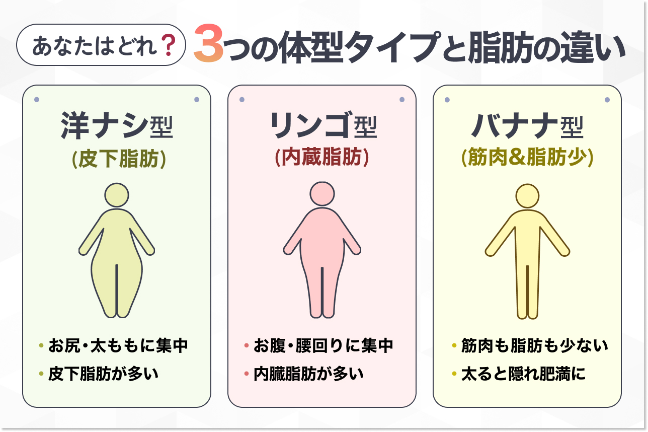 「洋梨体型」とは？リンゴ型・バナナ型との違いと特徴