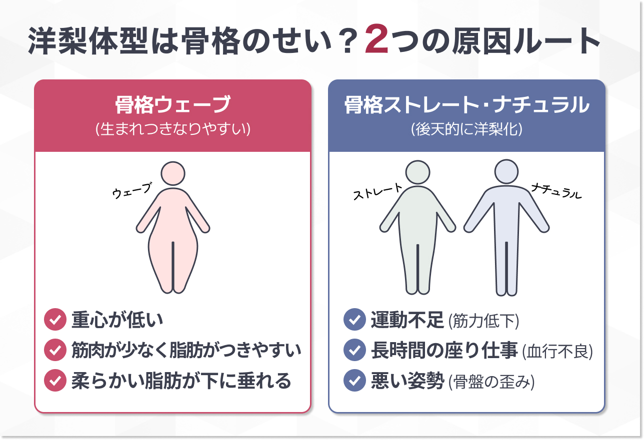 生まれつきのせい？骨格ウェーブと洋梨体型の関係
